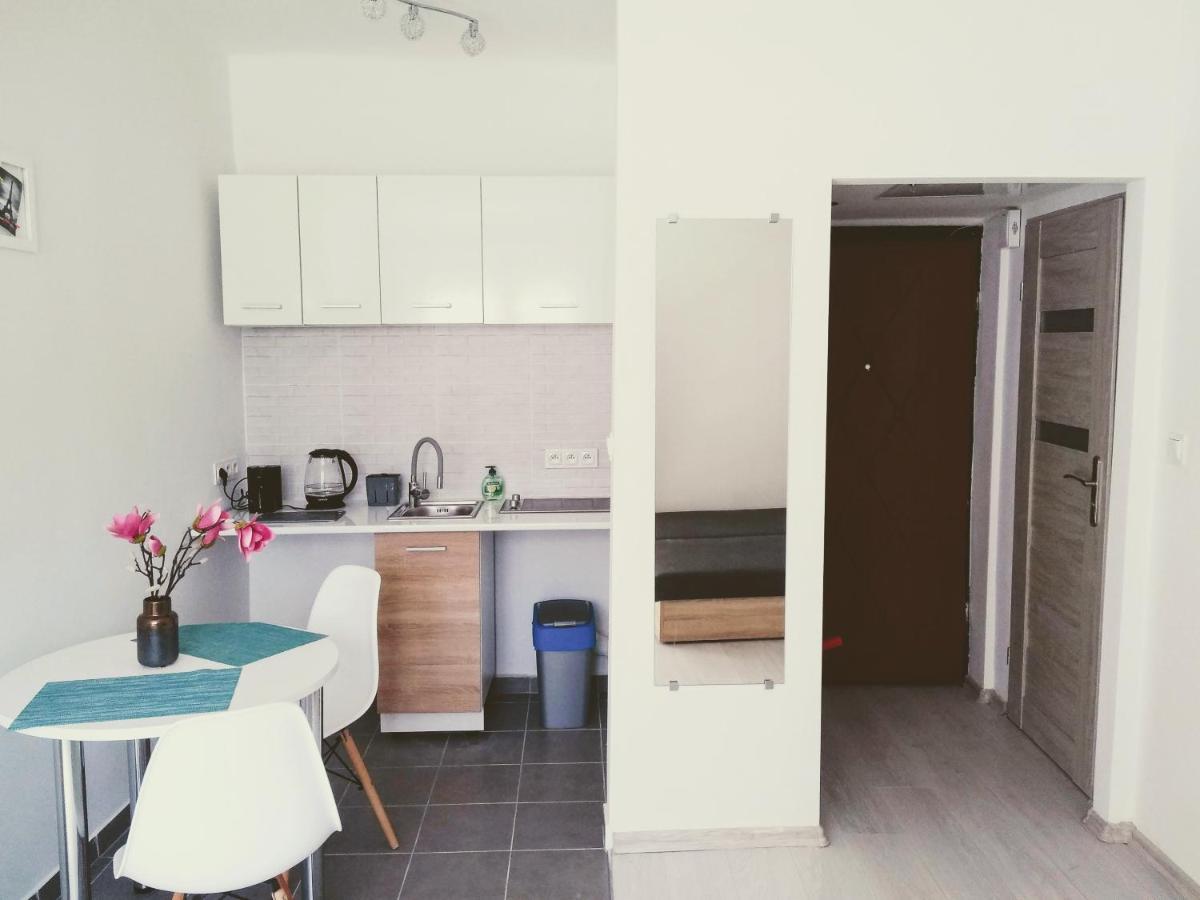 Studio Centrum - 1 Maja 16 Lägenhet Zabrze Exteriör bild