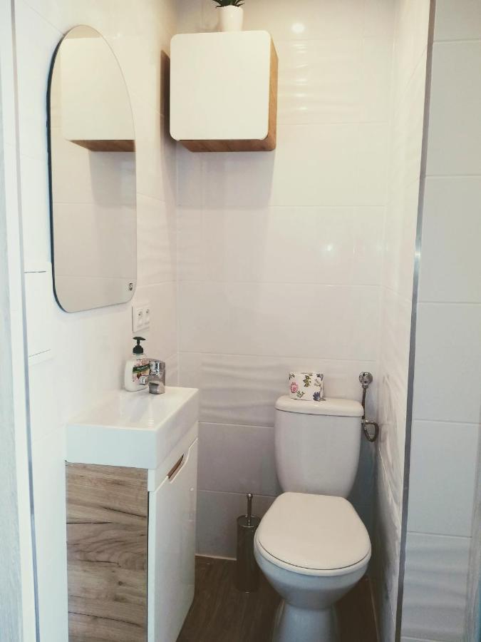 Studio Centrum - 1 Maja 16 Lägenhet Zabrze Exteriör bild